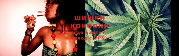 крисы Майский