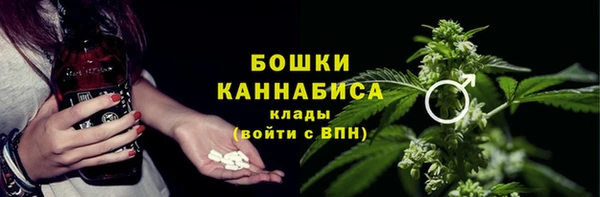 крисы Майский