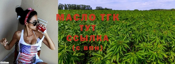 крисы Майский