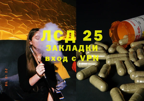 крисы Майский