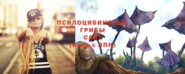 jwh Магас